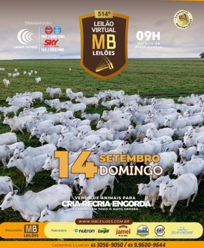 MB Leilões oferta animais para cria, recria e engorda neste domingo no Canal do Boi