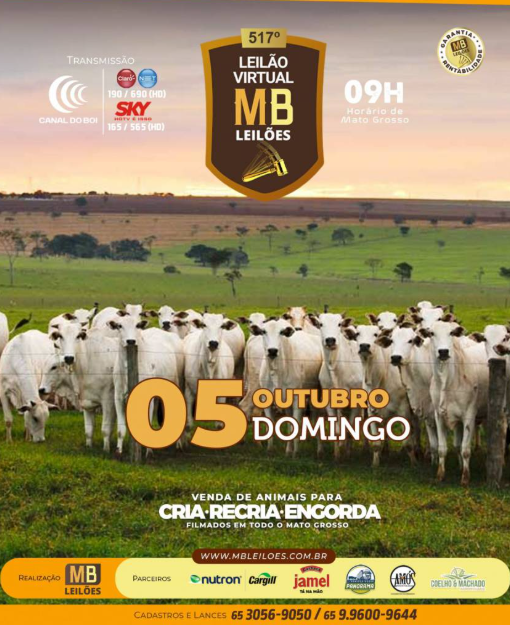 MB Leilões oferta animais para cria, recria e engorda neste domingo no Canal do Boi