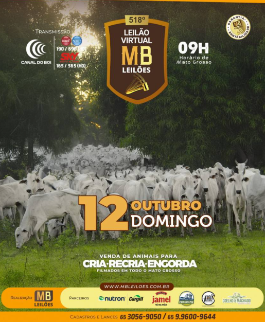 MB Leilões oferta animais para cria, recria e engorda neste domingo no Canal do Boi
