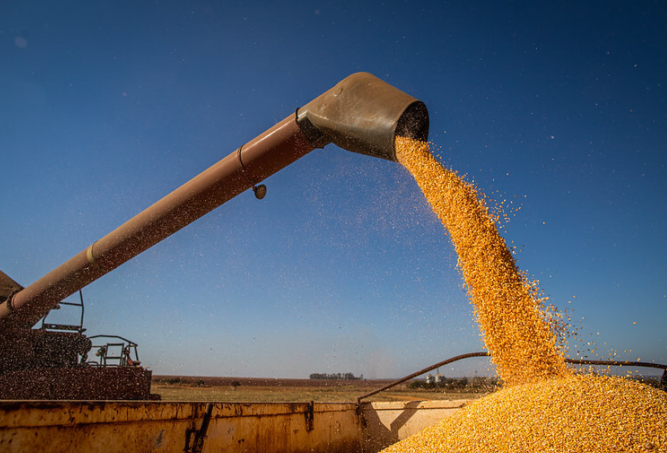 Análise CNA destaca recorde na produção de grãos e retomada do PIB do agro em 2025