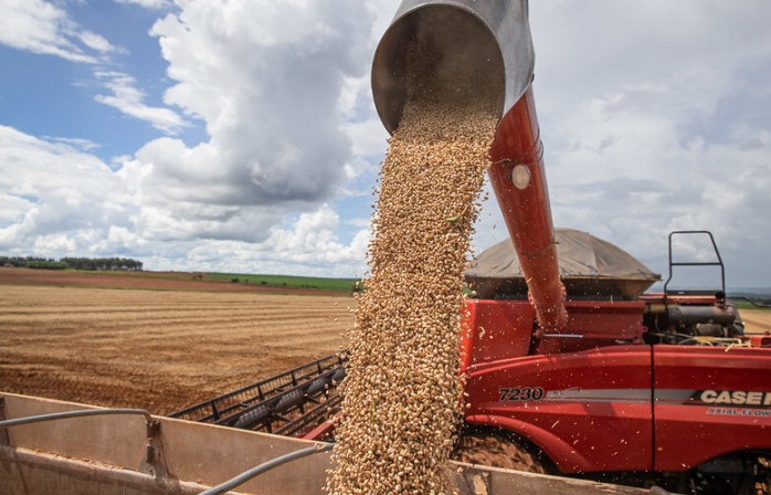 Exportações de feijão batem recorde histórico, mas mercado interno segue retraído