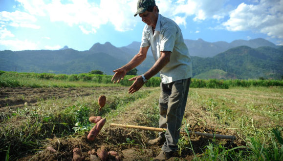 BNDES vai liberar R$ 12 bi para produtores rurais com perdas de safra