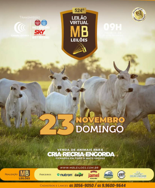 MB Leilões oferta animais para cria, recria e engorda neste domingo no Canal do Boi