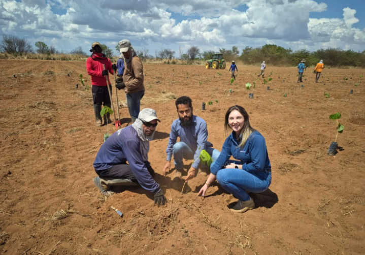 A ação ambiental da Aiba e parceiros marca plantio de 2 mil mudas de espécies nativas do Cerrado