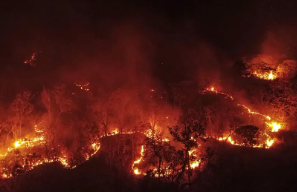 Acrimat enfatiza papel do produtor na maior redução de focos de calor já registrada em MT