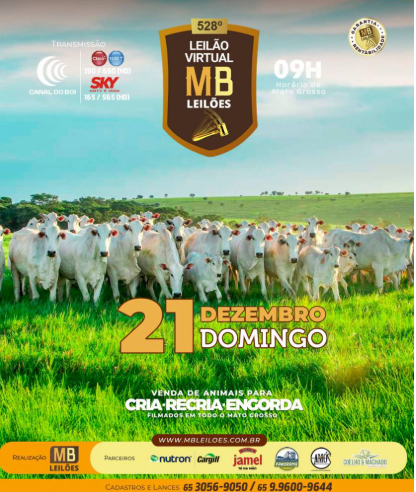 MB Leilões oferta animais para cria, recria e engorda neste domingo no Canal do Boi