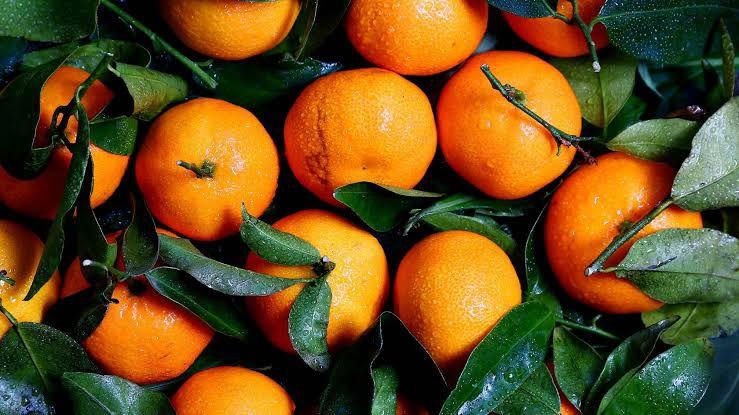 Laranja à indústria atinge novo recorde no spot de SP