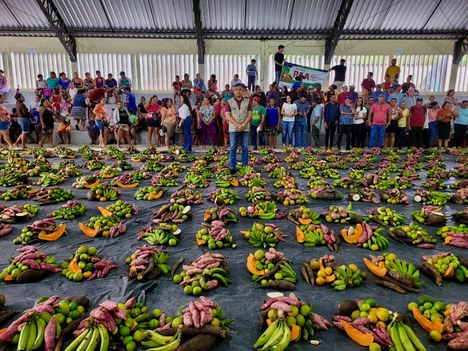 Conab inicia distribuição de alimentos do PAA e beneficia 300 famílias em Belém de Maria (PE)