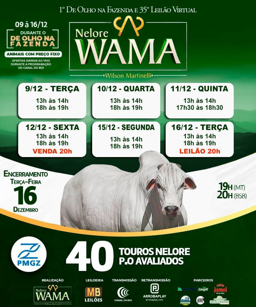 De Olho na Fazenda Nelore Wama oferta 40 touros nelore a preço fixo no Canal do Boi