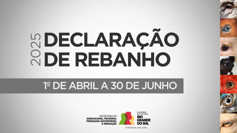 RS tem menos de 70% das declarações de rebanho entregues a uma semana do prazo final