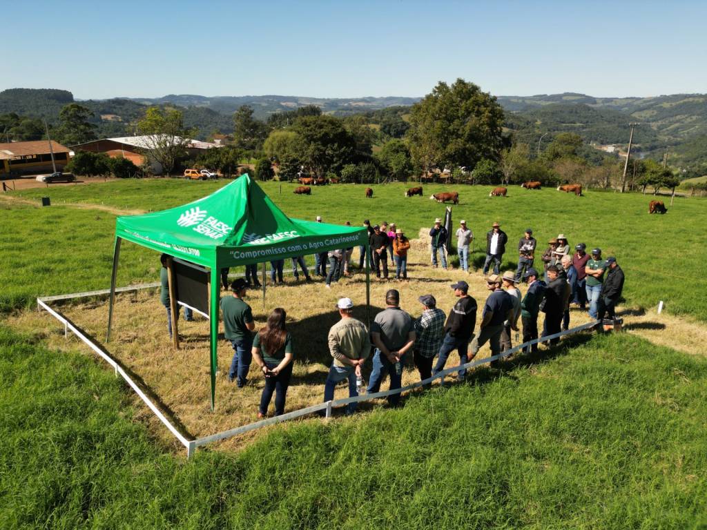 Tecnologia e gestão impulsionam pecuária de corte em SC durante Dia de Campo