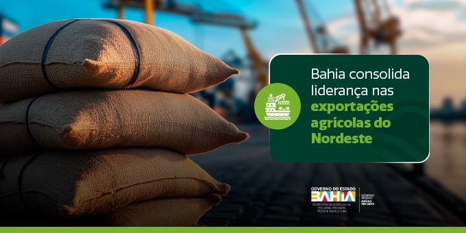 Bahia consolida liderança nas exportações agrícolas do Nordeste
