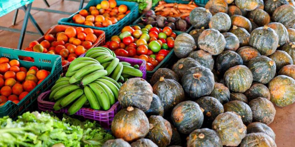 Governo de Goiás divulga resultado preliminar do PAA Goiás 2025