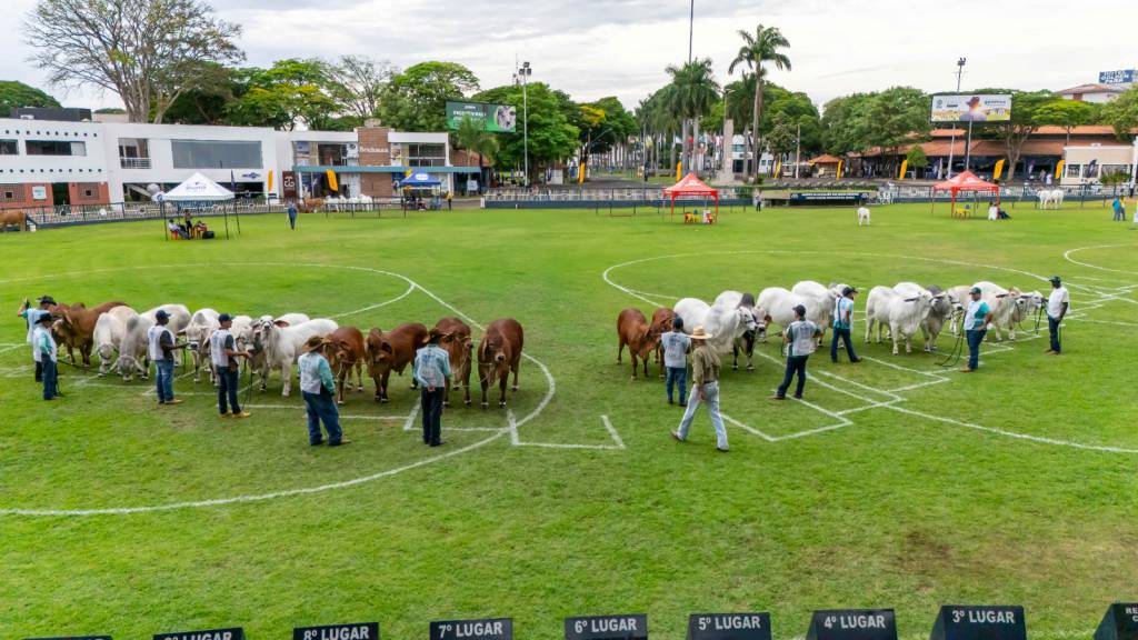 21ª ExpoBrahman terá jurado internacional