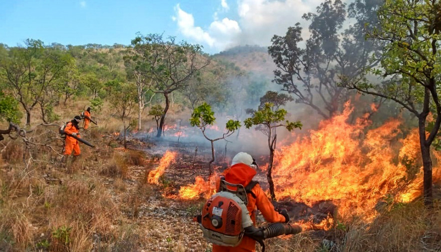 Tocantins registra queda de 28,7% na área queimada