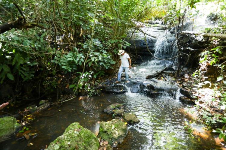 Propriedades rurais de MS ampliam práticas sustentáveis e atingem 71% de conformidade no ESG