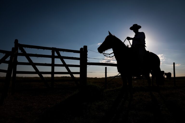 FCO Rural ultrapassa R$ 1 bilhão em financiamentos aprovados em 2025