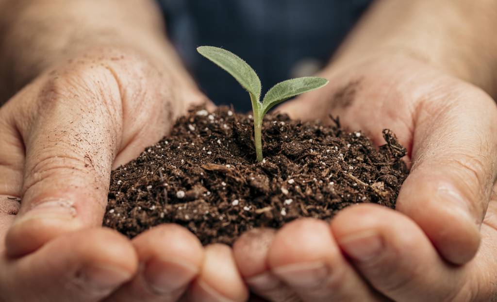 Abastecimento de fertilizantes no Brasil diante de possíveis sanções à Rússia