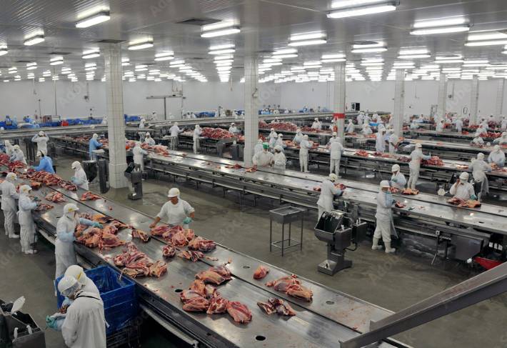 Frigoríficos apontam para uma melhora nas escalas de abate