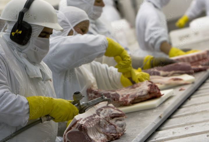 Escalas curtas mantêm demanda do boi gordo firme e preços em alta