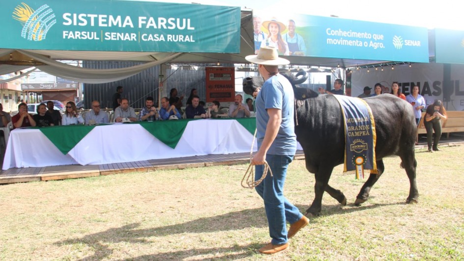Fenasul Expoleite atrai recorde de público e fortalece o agronegócio gaúcho