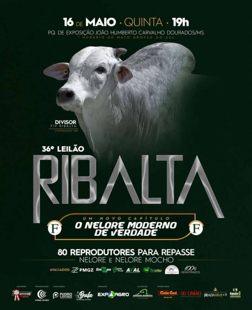 36° Leilão Ribalta - Expoagro 2024 (Elite) hoje às 20h no Canal do Boi