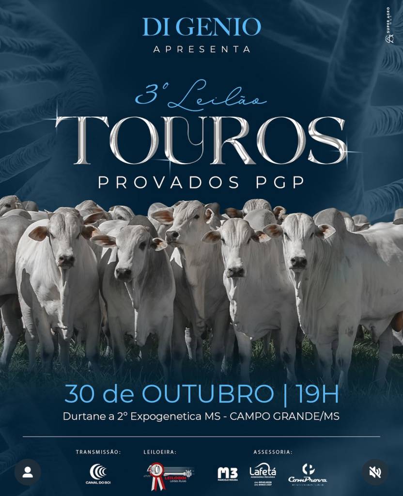 Leilão Touros Provados PGP Digenio - Expogenética 2025 hoje no Canal do Boi 