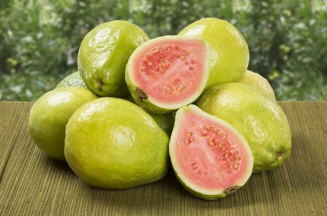 Brasil testa nova logística para exportação de goiaba de Carlópolis