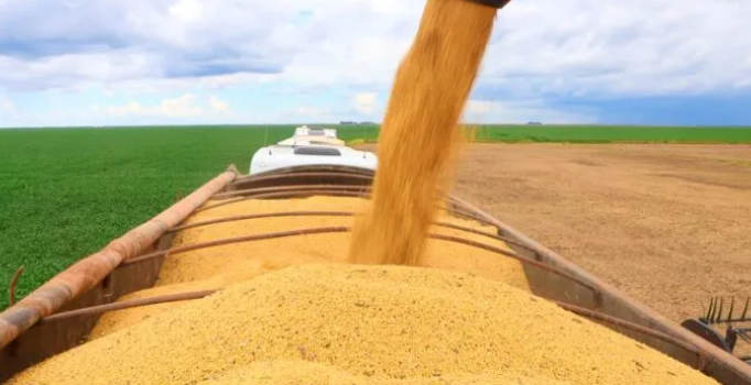 Mercado sem referência dos EUA para soja e é esperado acordo entre China e o país norte-americano