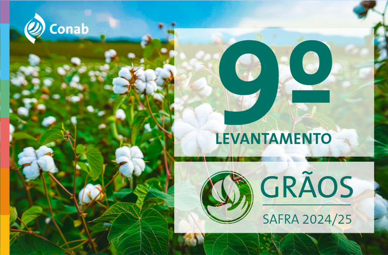Com alta de 13%, produção de grãos é estimada em 336,1 milhões de toneladas na safra 2024/25