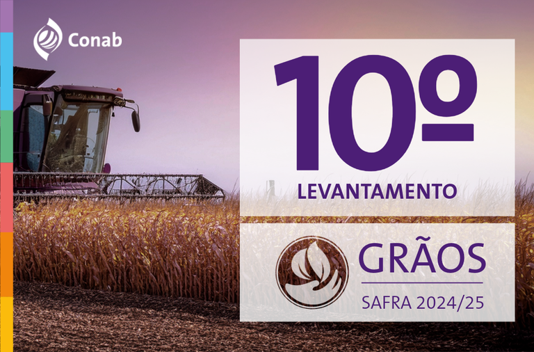 Produção pode alcançar 339,6 milhões de toneladas e superar safra anterior