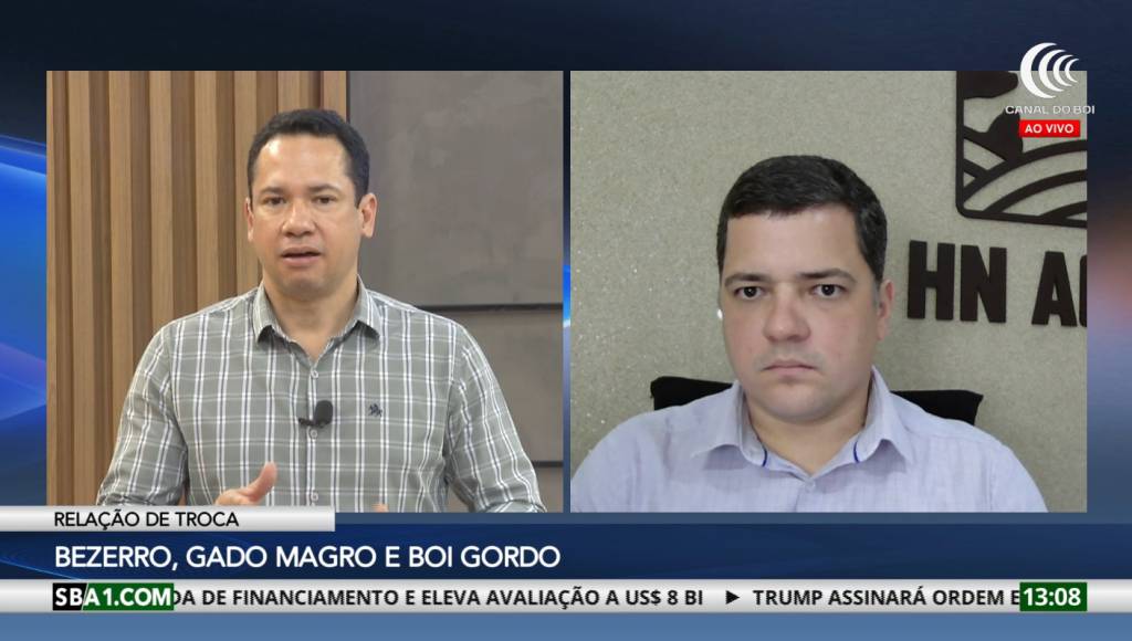 Boi gordo e bezerro em alta no ciclo pecuário