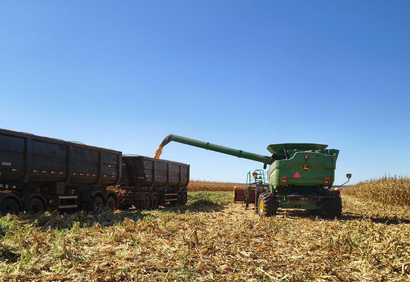Valor Bruto da Produção cresce 26% em Mato Grosso do Sul