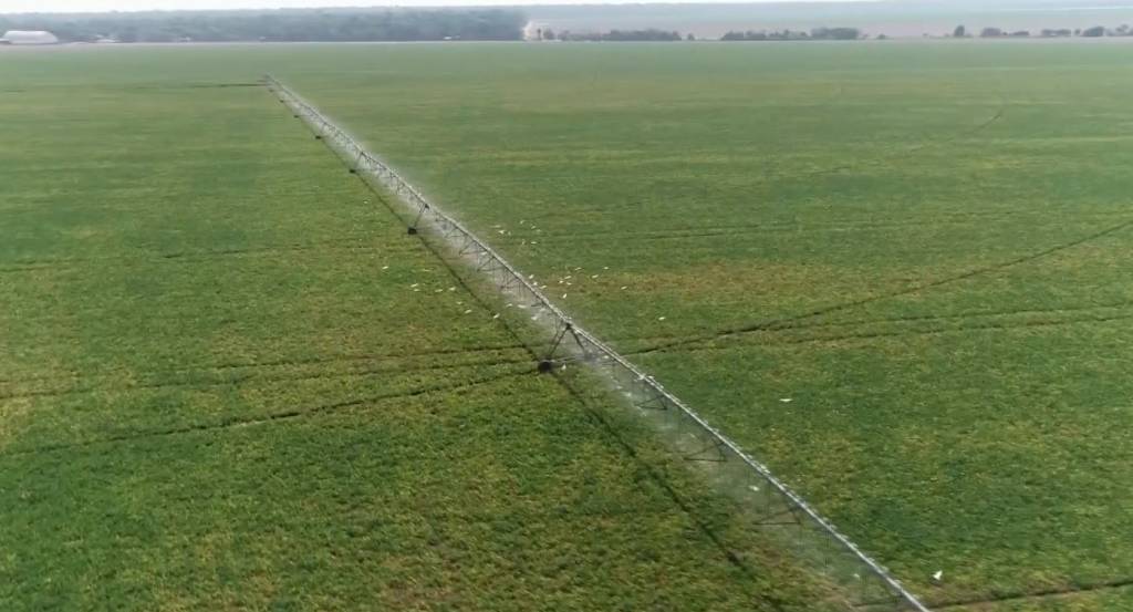 Lei institui Dia Nacional da Agricultura Irrigada para 15 de junho