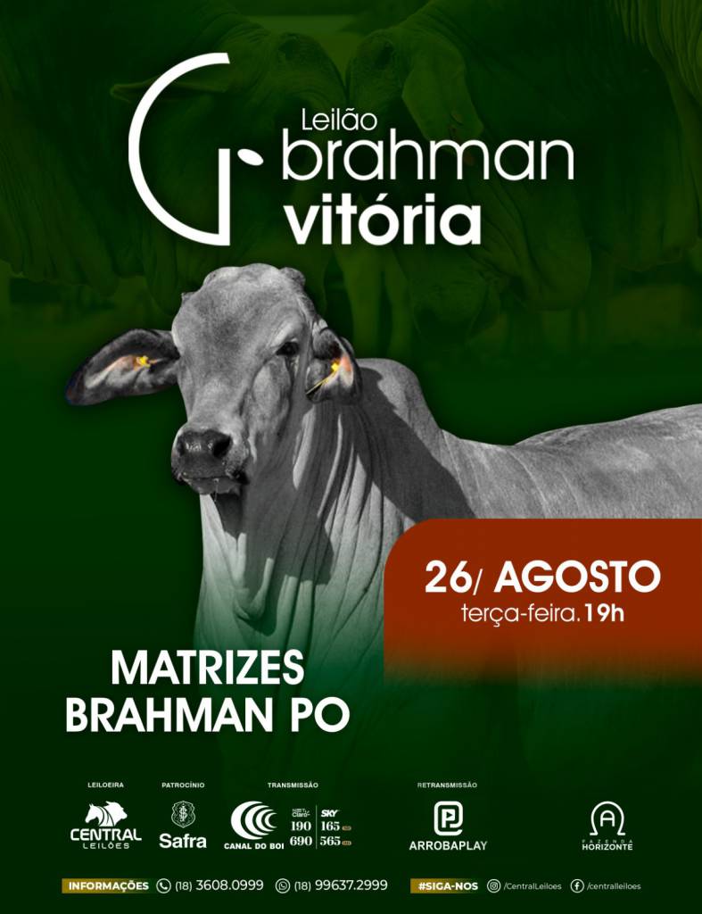 Leilão Brahman Vitória - Matrizes hoje às 19h no Canal do Boi 