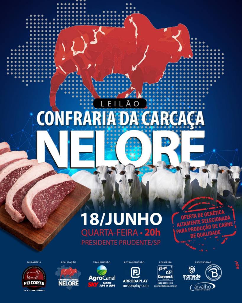 Leilão Confraria da Carcaça hoje às 20h no Agro Canal
