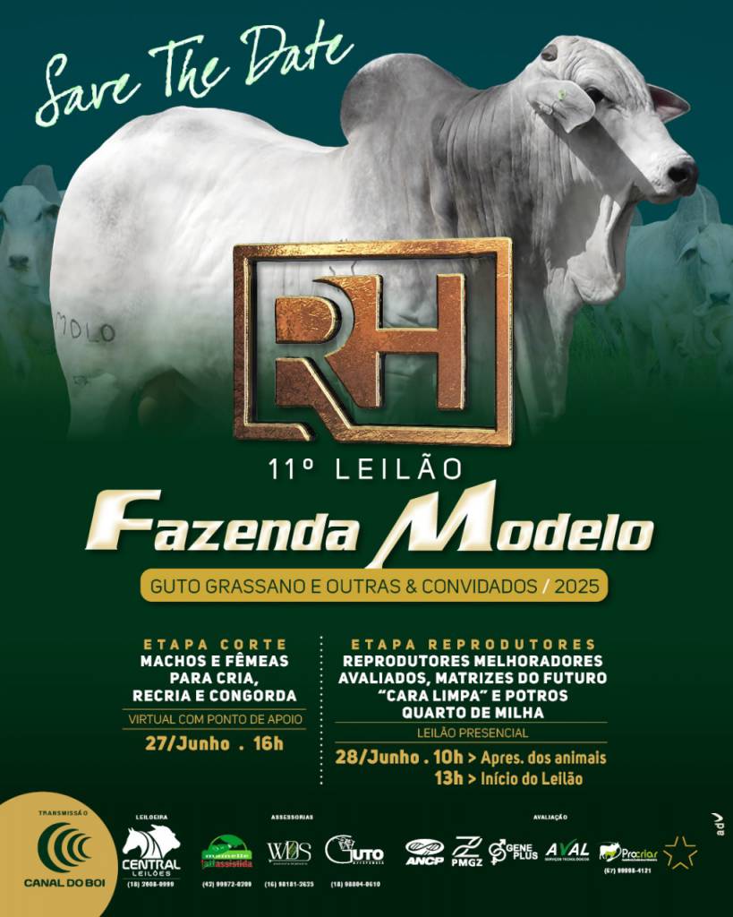 11º Leilão Fazenda Modelo Guto Grassano - Etapa Corte 2025 hoje às 16h no Canal do Boi 