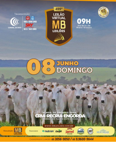 499° Leilão Virtual MB Leilões neste domingo no Canal do Boi