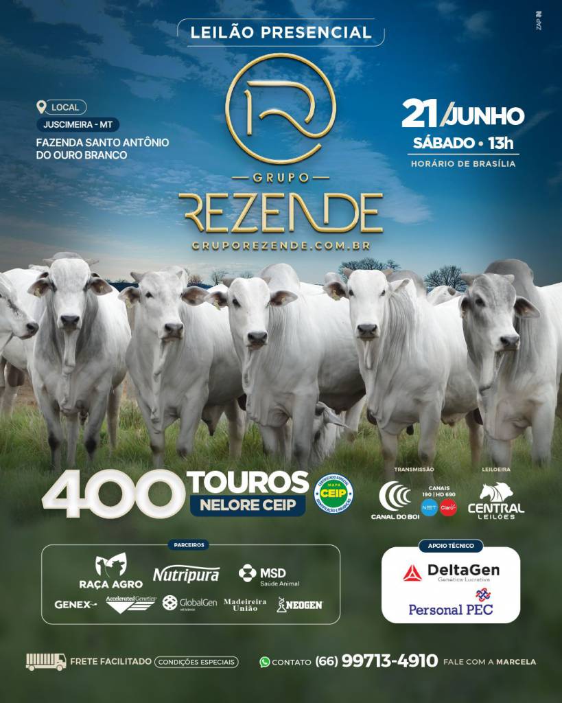  Leilão Touros Grupo Rezende hoje às 13h no Canal do Boi