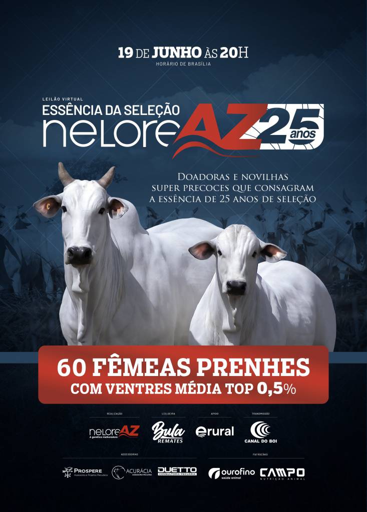 Leilão Virtual Essência da Seleção Nelore AZ 25 Anos hoje no Canal do Boi