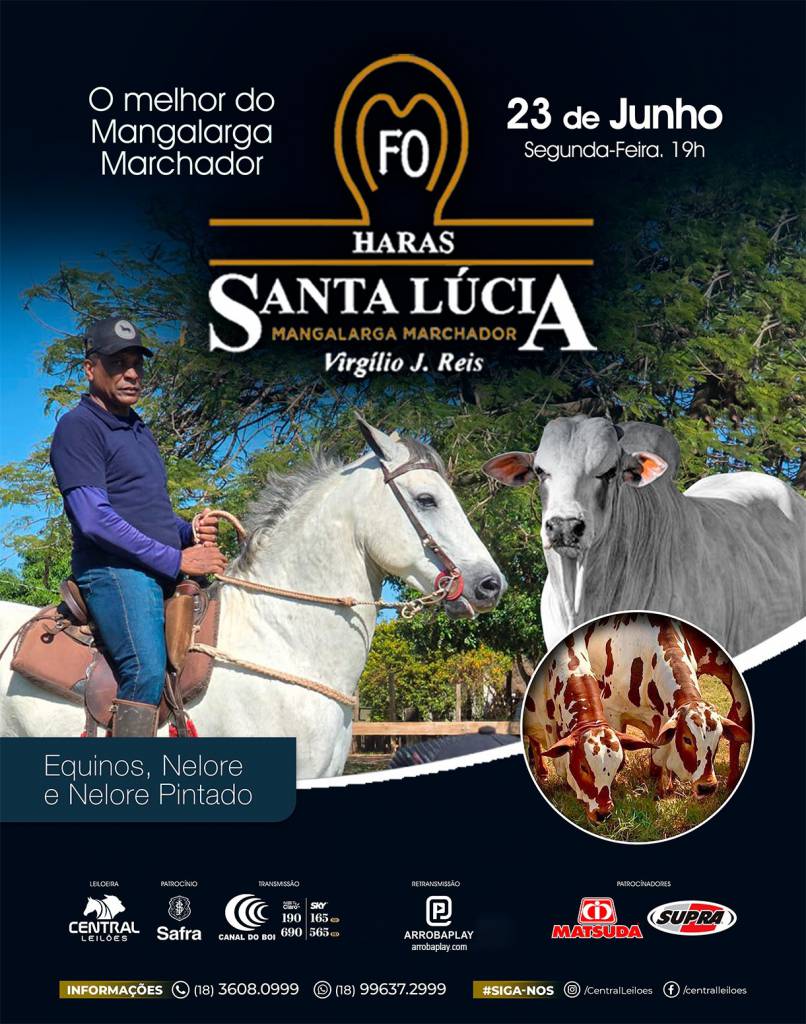 Leilão Virtual Haras Santa Lúcia hoje às 19h no Canal do Boi 