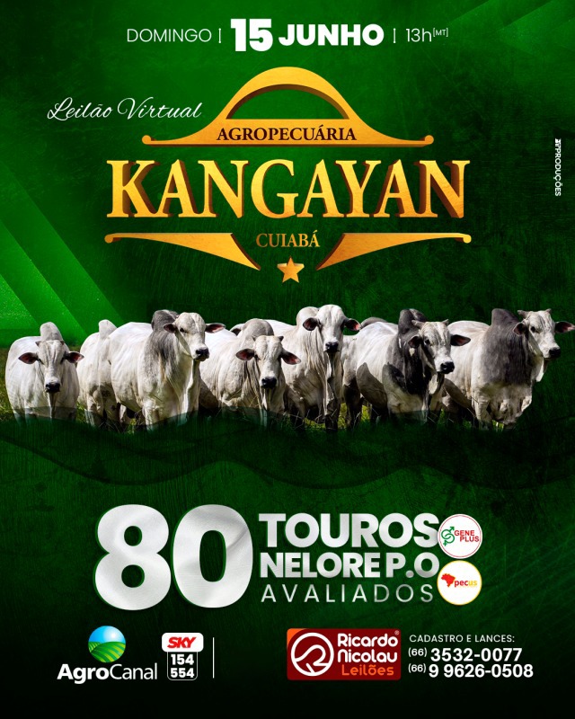 Leilão Virtual Kangayan hoje no Agro Canal