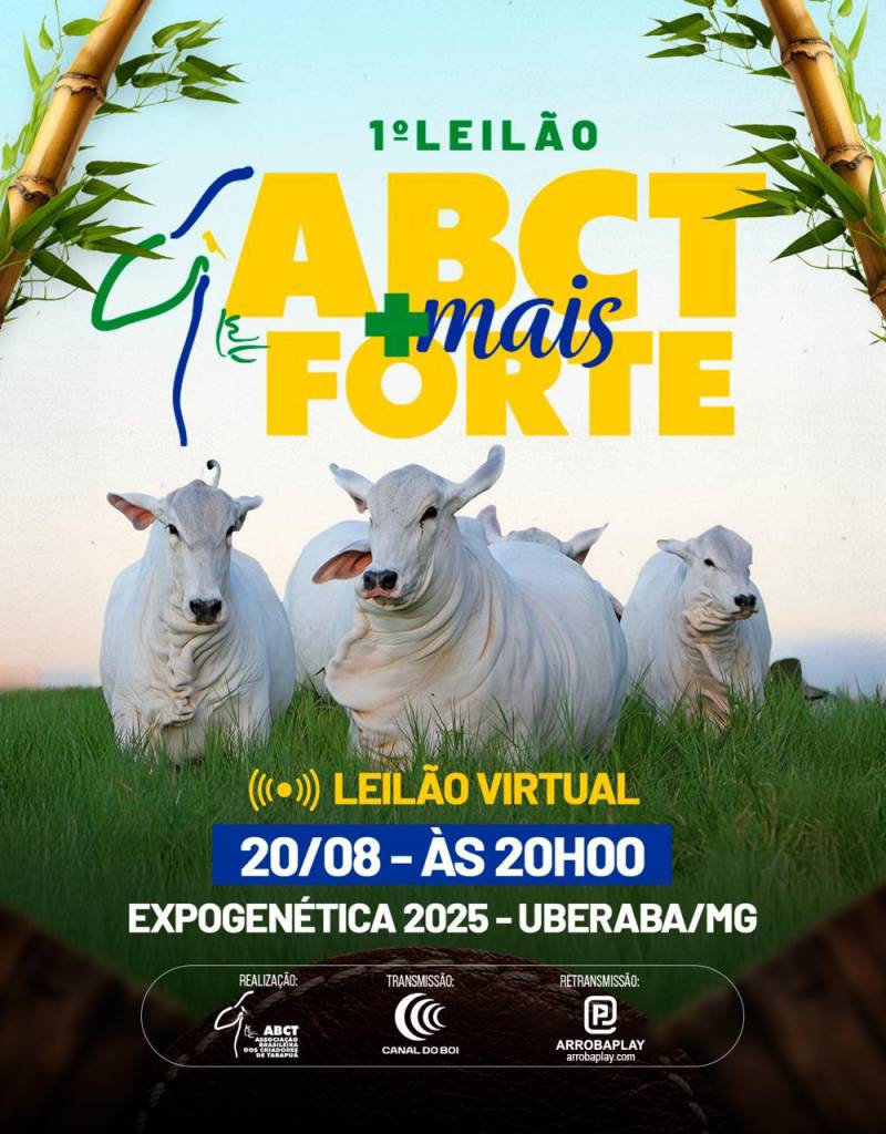 1º Leilão ABCT Mais Forte hoje às 20h no Canal do Boi 