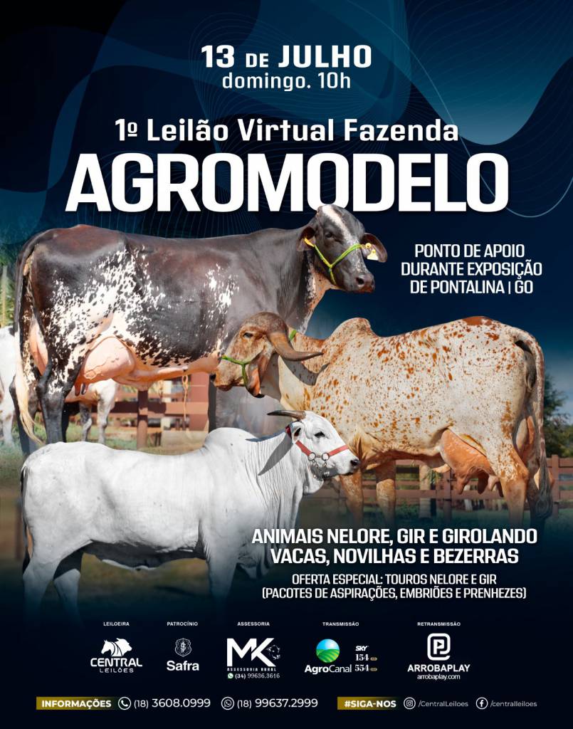 1º Leilão Virtual Fazenda Agromodelo hoje às 10h no Agro Canal