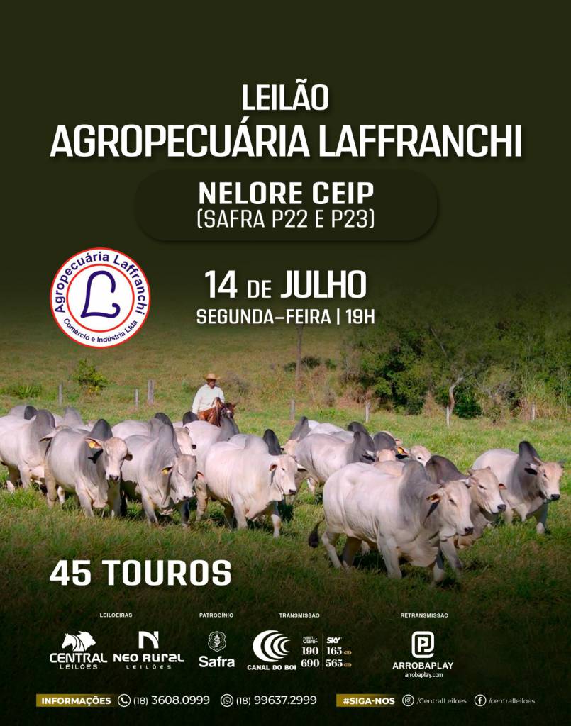 Leilão Agropecuária Laffranchi hoje no Canal do Boi 