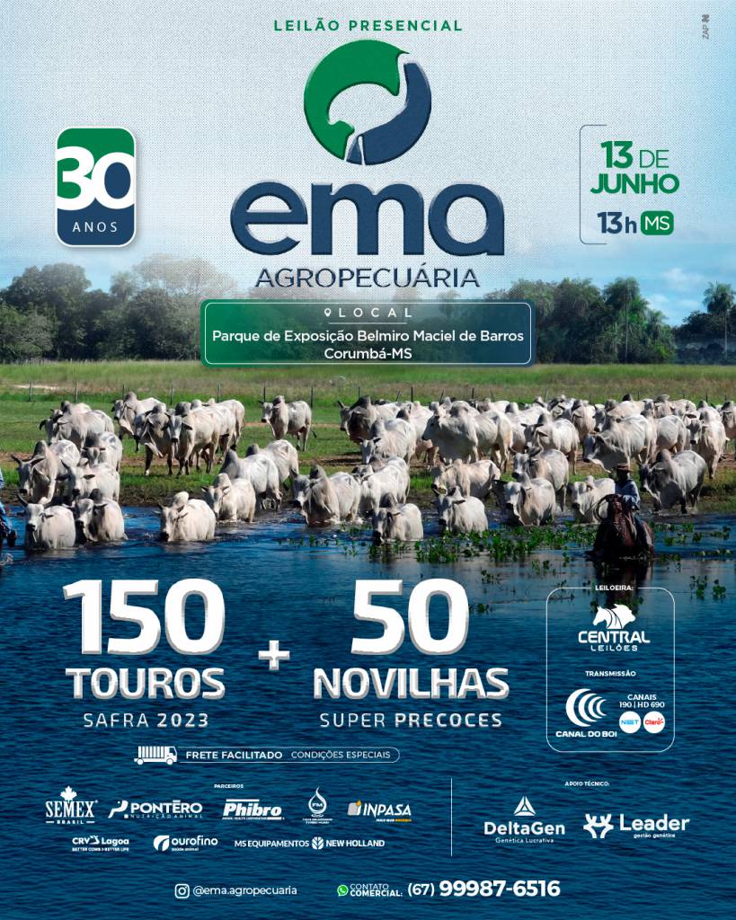 Leilão Presencial EMA Agropecuária hoje às 14h no Canal do Boi 
