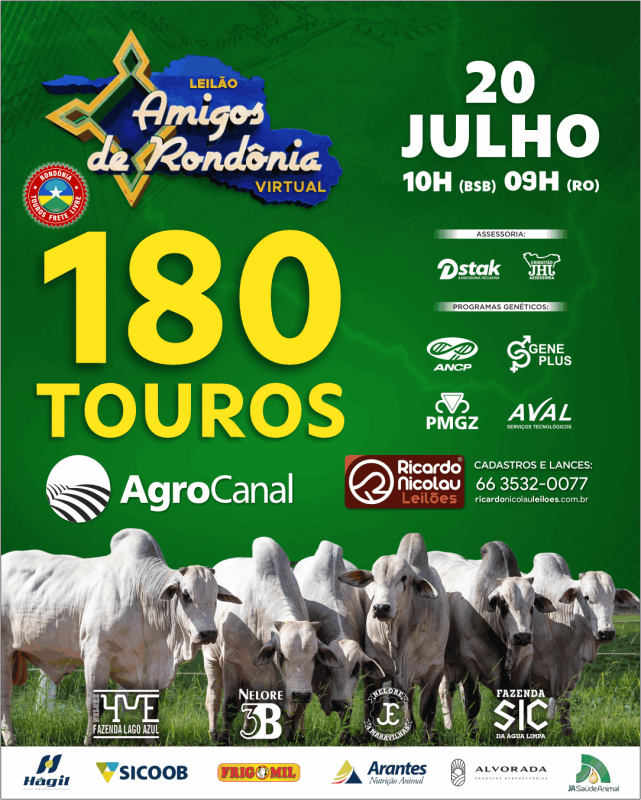 Leilão Presencial Amigos de Rondônia hoje no Agro Canal