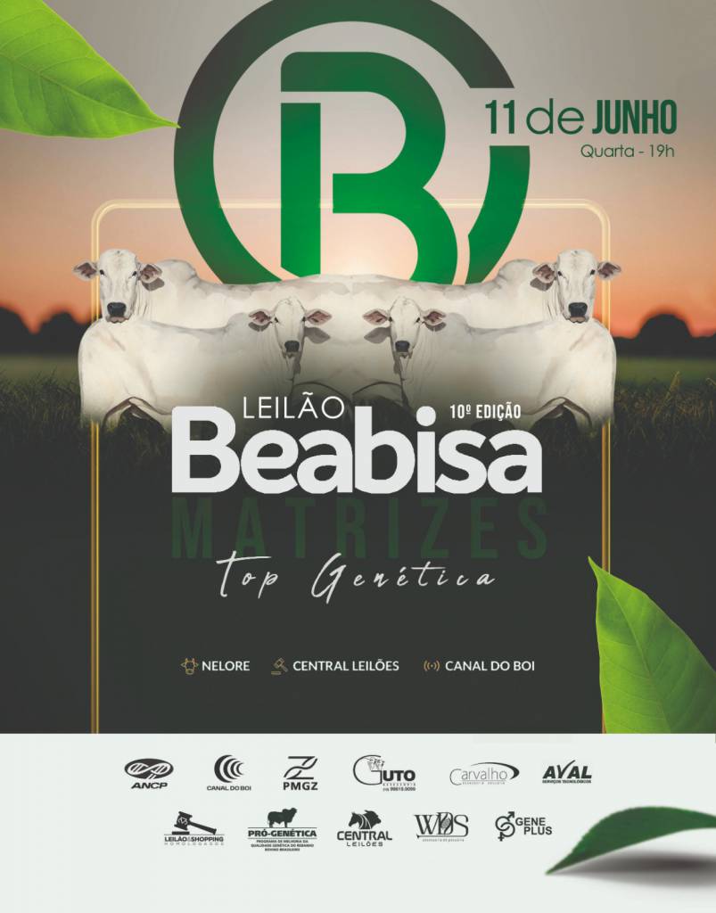 Leilão Beabisa - Matrizes Top Genética  hoje às 19h no Canal do Boi 