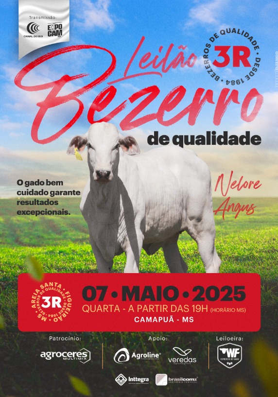 Leilão Bezerro de Qualidade 3R hoje no Canal do Boi