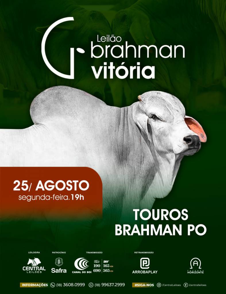 Leilão Brahman Vitória - Touros hoje às 19h no Canal do Boi 
